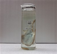 藏品(鮟鱇)的圖片